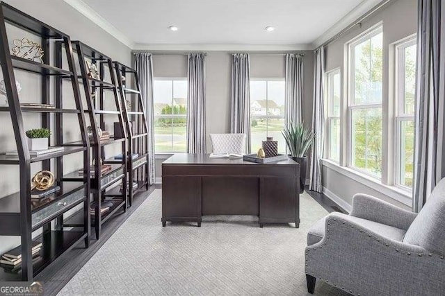 office space featuring baseboards, wood finished floors, and crown molding