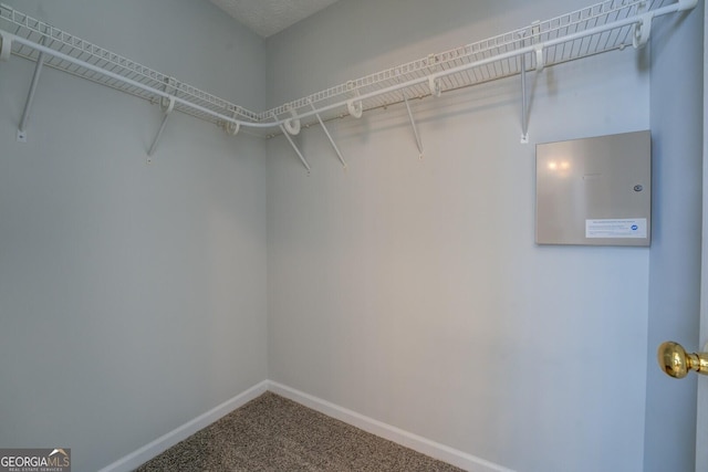 spacious closet with carpet flooring