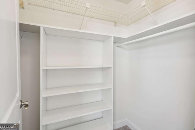 view of spacious closet