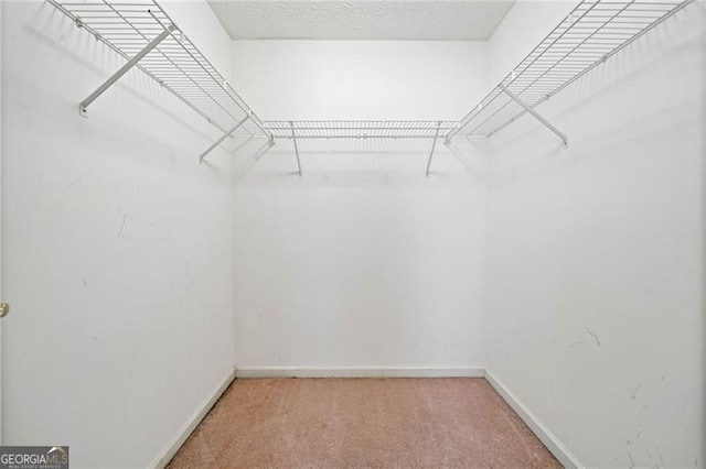 walk in closet with light colored carpet