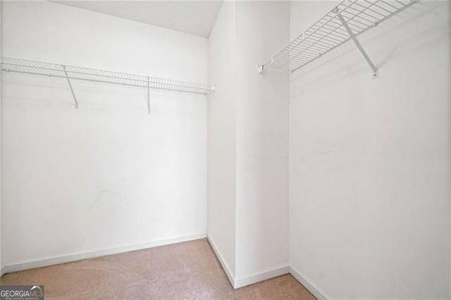 spacious closet featuring carpet floors