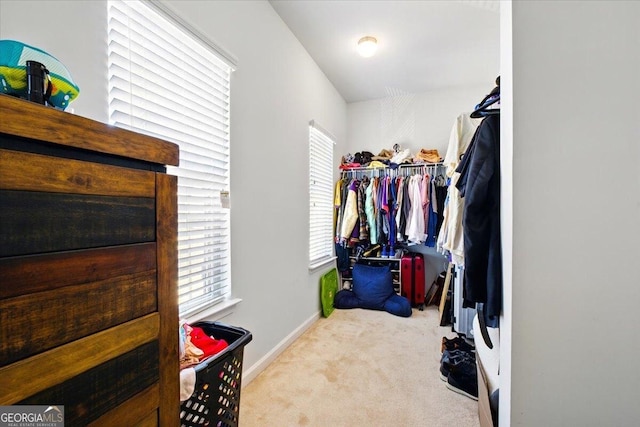 spacious closet featuring carpet floors