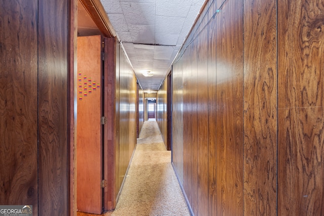 hall featuring wooden walls and light colored carpet