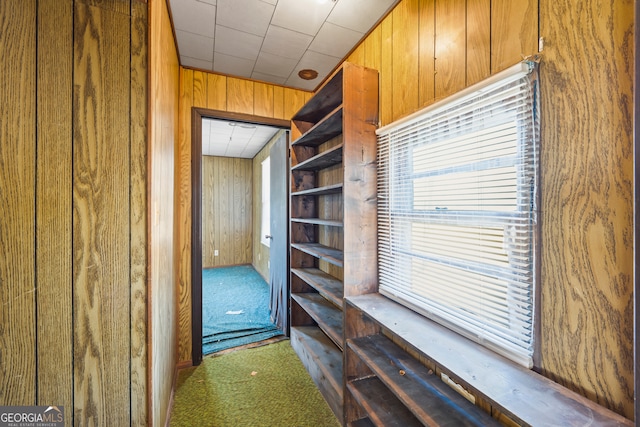 interior space featuring wooden walls and carpet flooring