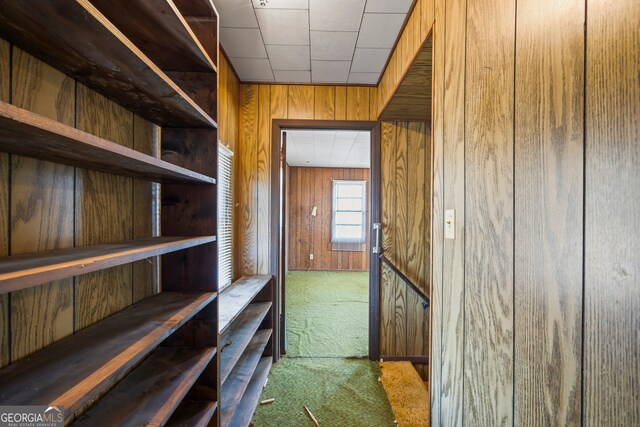 interior space with wood walls and carpet floors