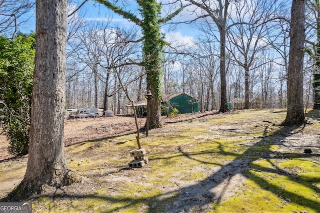 view of yard with an outbuilding and an outdoor structure