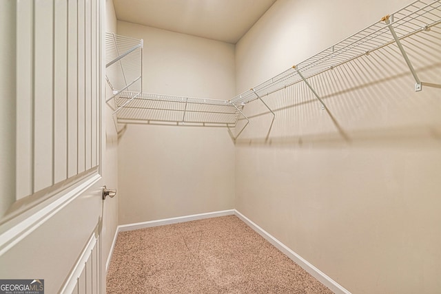 4 October Ave, Newnan, GA 30265 - walk in closet with carpet