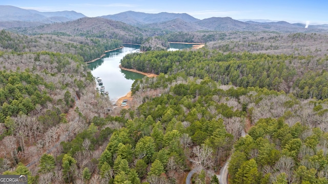 birds eye view of property featuring a view of trees and a water and mountain view