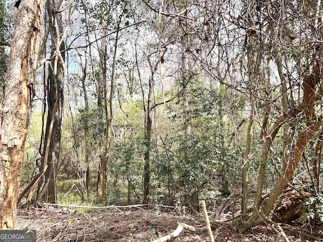 view of nature with a wooded view