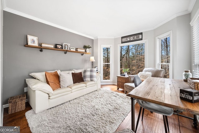 living area with hardwood / wood-style floors and ornamental molding