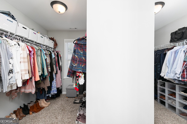 walk in closet featuring visible vents and carpet