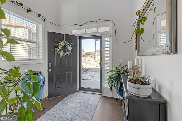 foyer entrance featuring wood finished floors