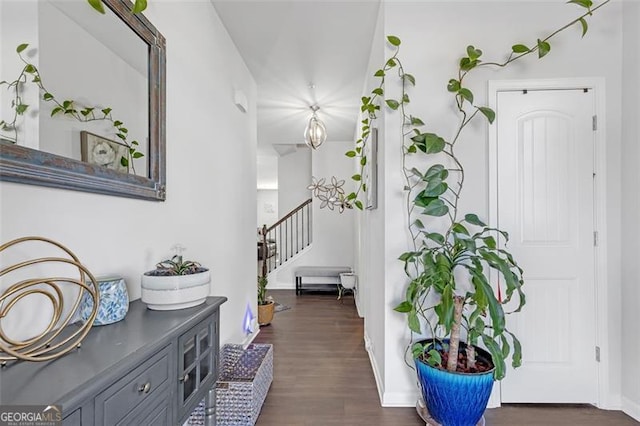 foyer entrance with dark wood finished floors, stairs, and baseboards