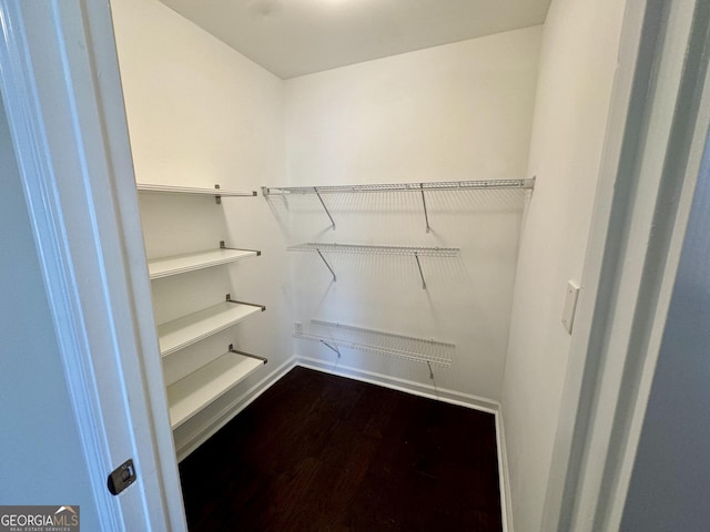 walk in closet featuring dark wood-style flooring