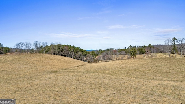 view of landscape featuring a rural view