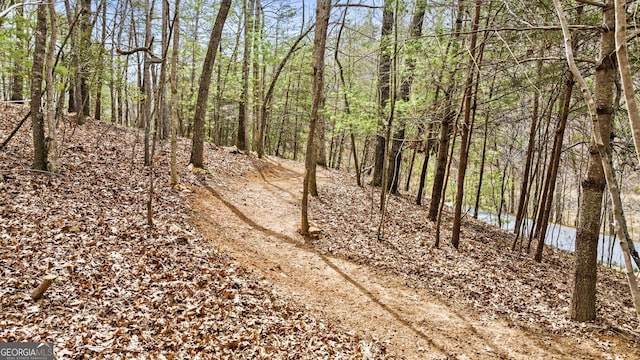 view of landscape featuring a forest view