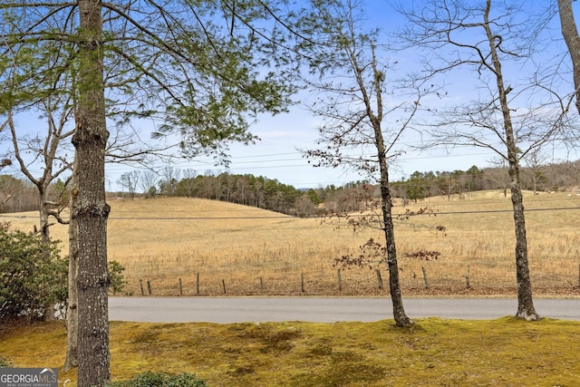 view of yard with a rural view