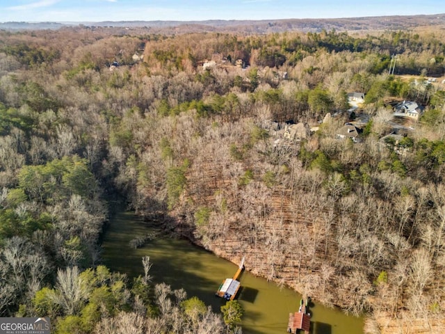 aerial view with a view of trees