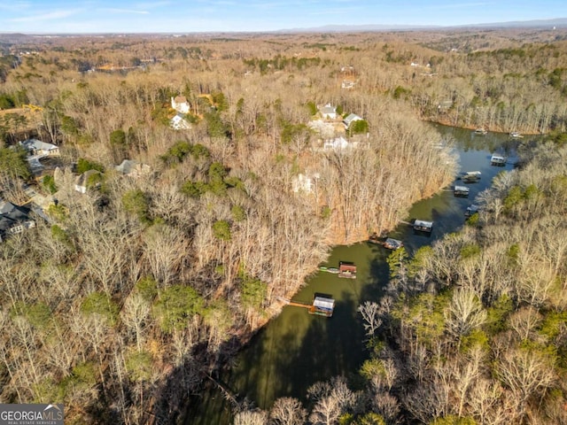 birds eye view of property with a forest view and a water view
