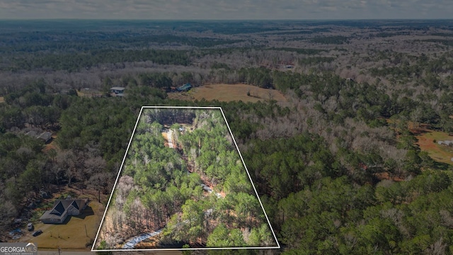 aerial view featuring a forest view