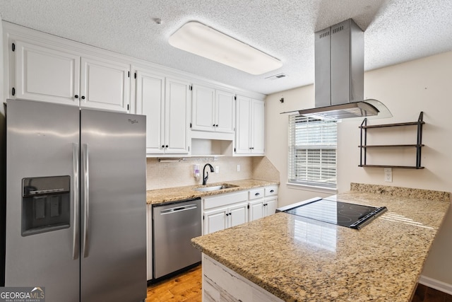 kitchen with a sink, open shelves, island range hood, and stainless steel appliances