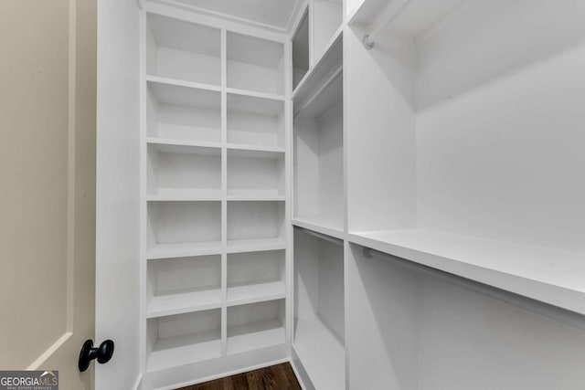 walk in closet featuring dark wood-type flooring