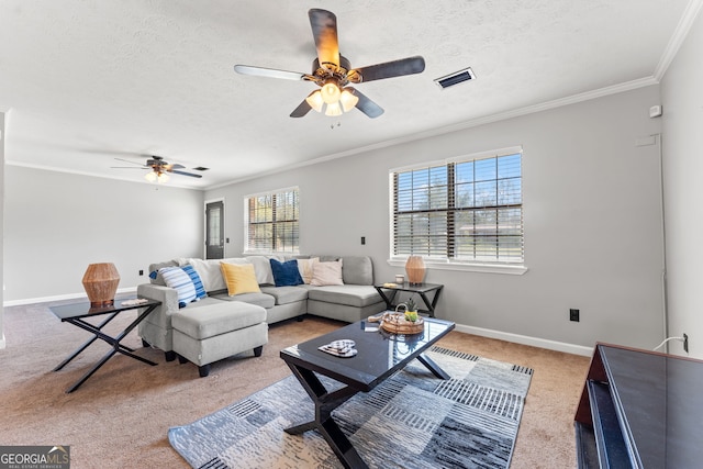 living room with visible vents, a textured ceiling, baseboards, and ornamental molding