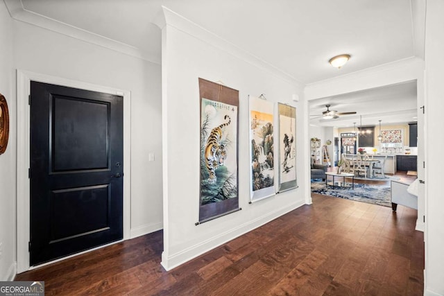 entrance foyer with dark wood finished floors, a ceiling fan, crown molding, and baseboards