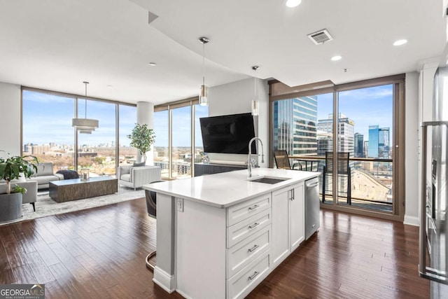 kitchen with stainless steel dishwasher, expansive windows, open floor plan, and a sink