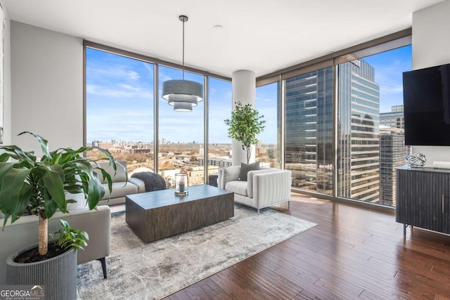 living room with a wall of windows, a city view, and wood finished floors