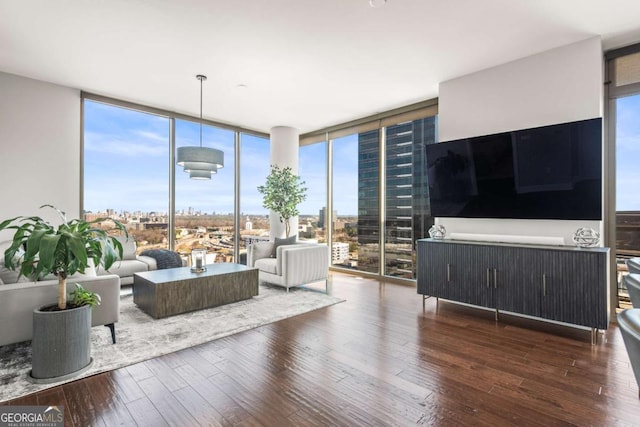 living area featuring wood finished floors and expansive windows