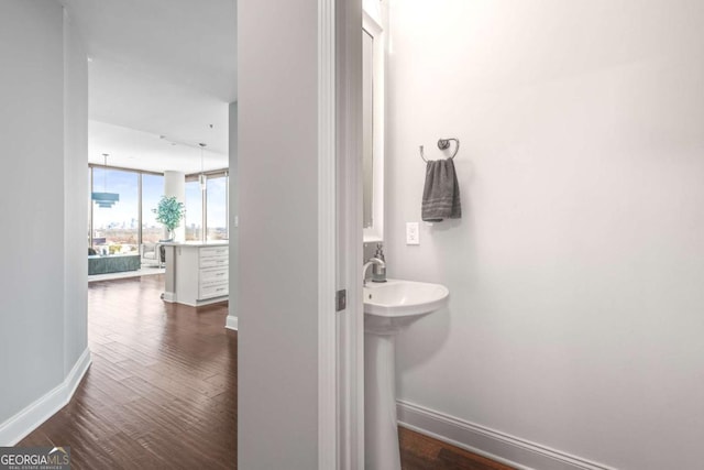 bathroom featuring a wall of windows, baseboards, and wood finished floors