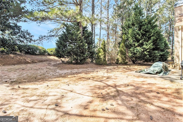 11 Tallulah Ct, Jonesboro, GA 30236 - view of yard