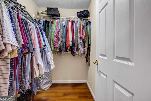 spacious closet featuring wood finished floors