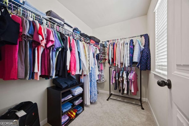 spacious closet with carpet