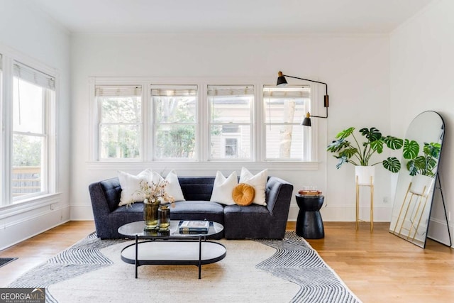 living area with baseboards and wood finished floors