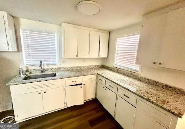 kitchen with white cabinetry, dark wood-type flooring, and a sink