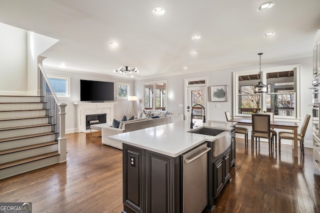 kitchen with dark wood-type flooring, dishwasher, a fireplace, and light countertops