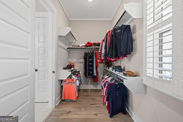 walk in closet featuring wood finished floors