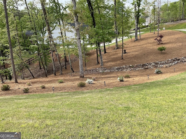 212 Cardiff Ct, Ball Ground, GA 30107 - view of green lawn