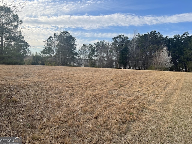 0 Higgins Rd, Locust Grove GA, 30248 land for sale