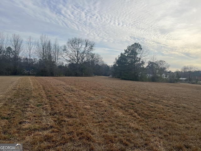 Listing photo 3 for 0 Higgins Rd, Locust Grove GA 30248