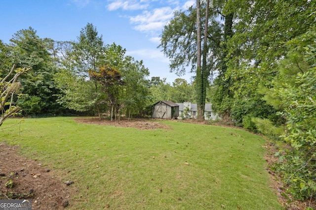 view of yard with an outbuilding and a shed