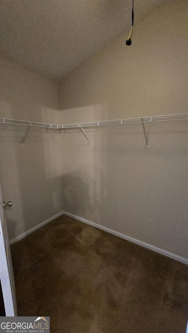 walk in closet with carpet flooring and vaulted ceiling