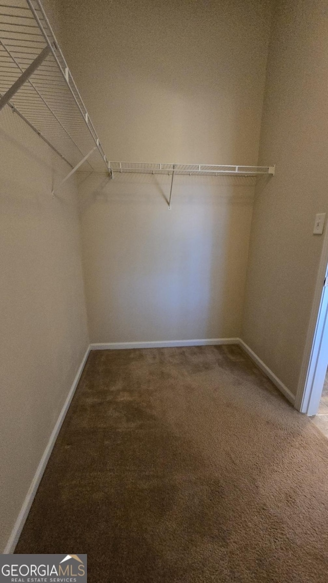 spacious closet featuring carpet flooring