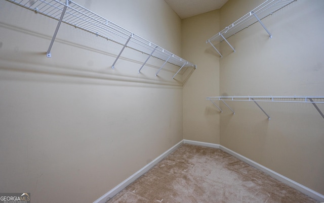 spacious closet featuring carpet flooring