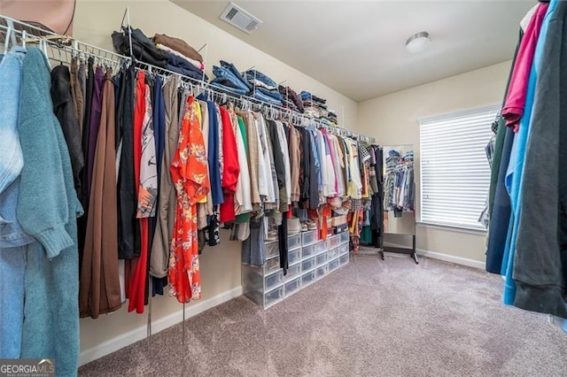 walk in closet with visible vents and carpet floors