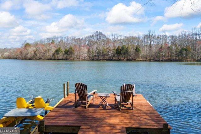 dock area featuring a water view