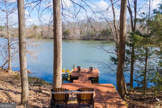 dock area with a water view