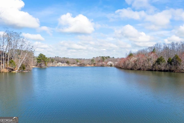 view of water feature featuring a view of trees